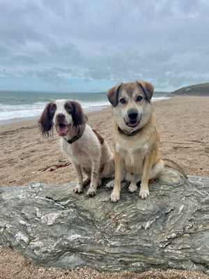 Charlie & Storm