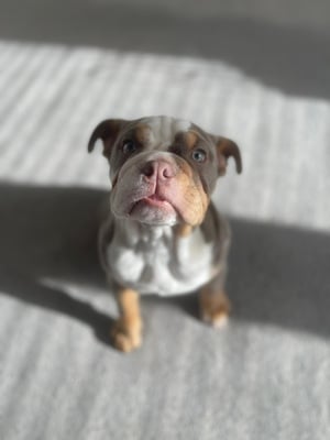 Winnie