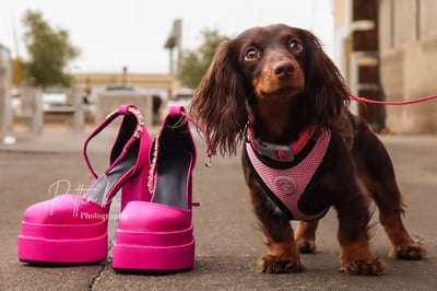 Slinkie