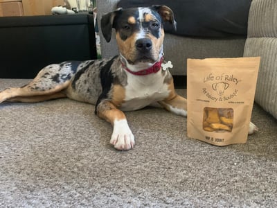 Miss Shelby