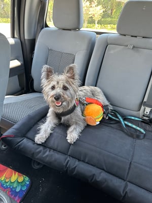 Maggie Sunshine
