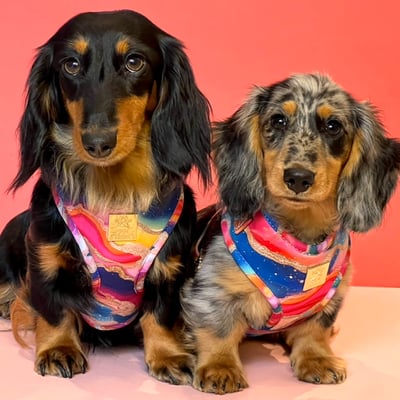 Nellie&norma