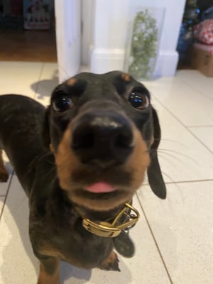 Edna