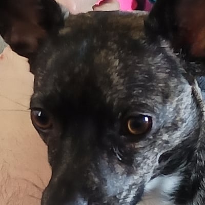 Zoë