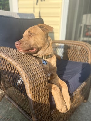 Ronan