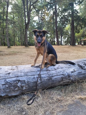 Xena