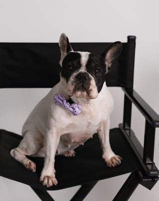 Molly