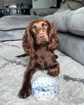 Milly