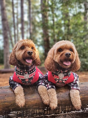 Bob & Boris