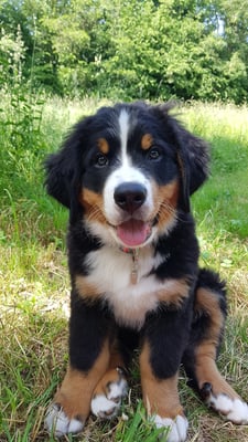 Cosmo