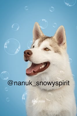 Nanuk