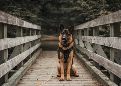 Gunner