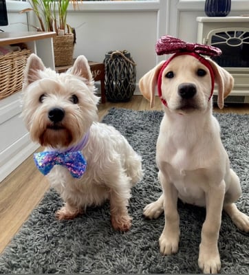 Lola and daisy