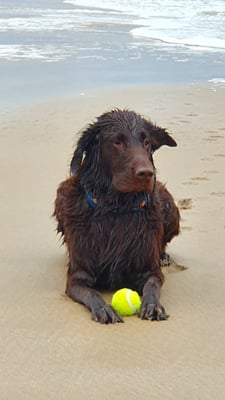 Bobby