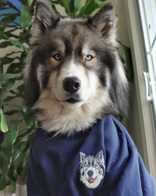 Kuma