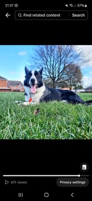 Patch