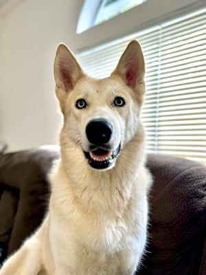Myra