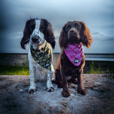 Belle and Lottie