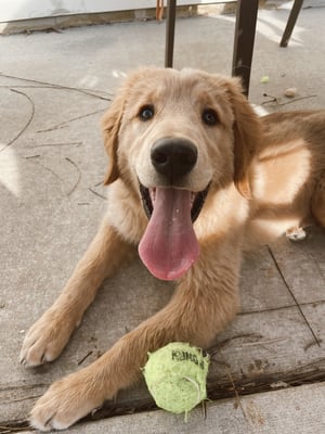 Murphy