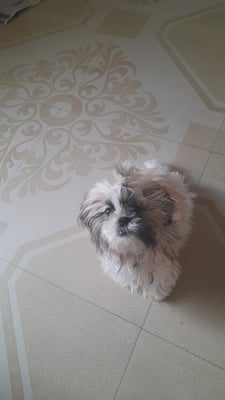 zoe
