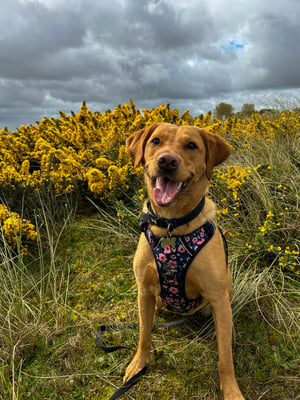 Winnie