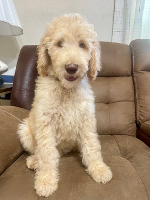 Oakley