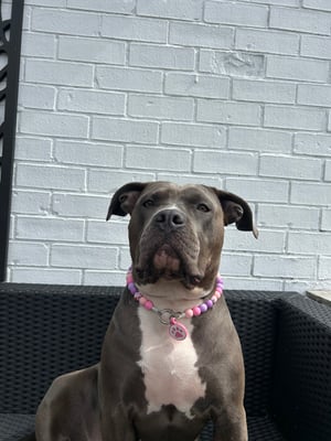 Narla