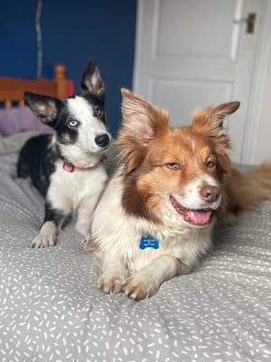 Max & Fern