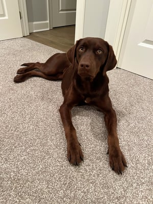 Remington, goes by "Remi"