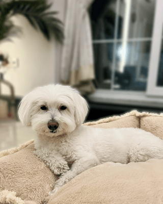 Casper
