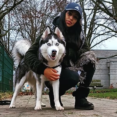 Maya