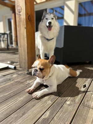Oslo & Kobe