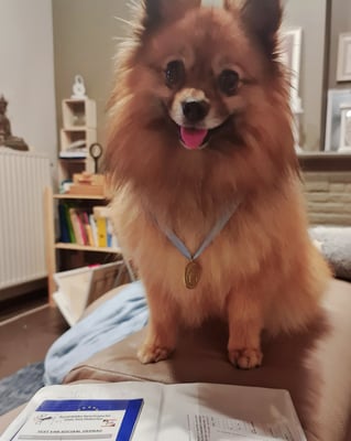 Meeko