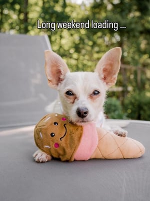 @opies_pawesome_world