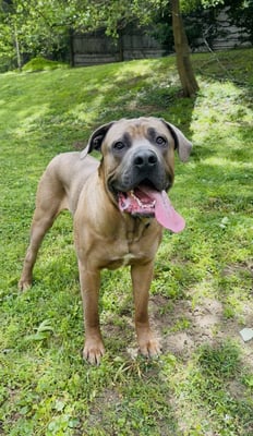 Zeus