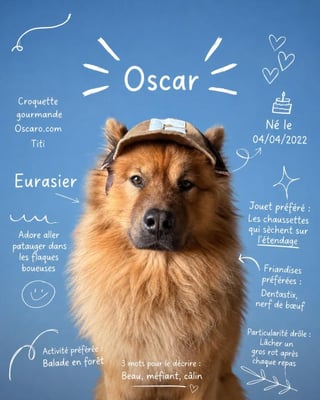 @its_oscar_eurasier