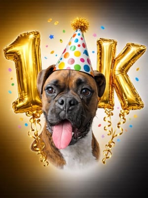 @kortado.the.boxer