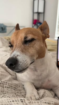 @denijackrussell