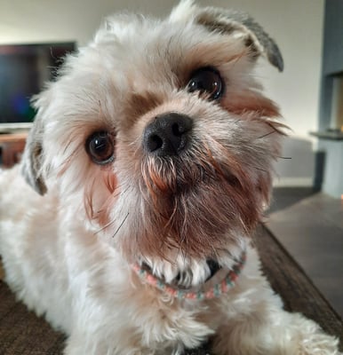Charlie