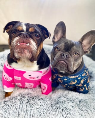 Kobe & Kiwi