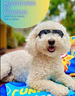 Amadeus