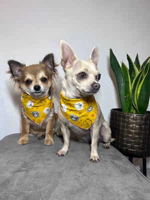 Peanut & Ted