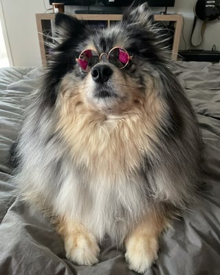 Shaggy