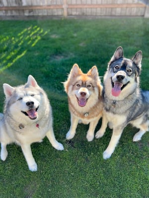 Tikanni Kita and Tehya