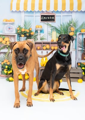 Rocco & Paulie
