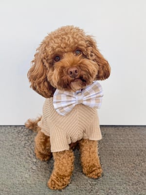 Rufus