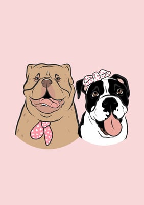 Yogi Bear & Matilda