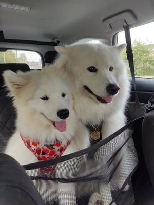 Nova & Auri