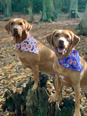 Jasmine and Meg