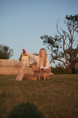 Coco & Roxy +2